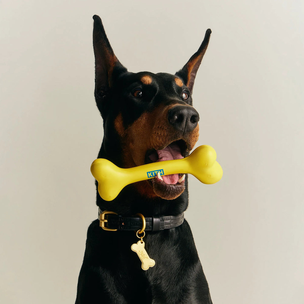 Kith for wagwear Bone - Yellow