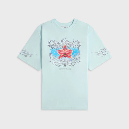 XXS