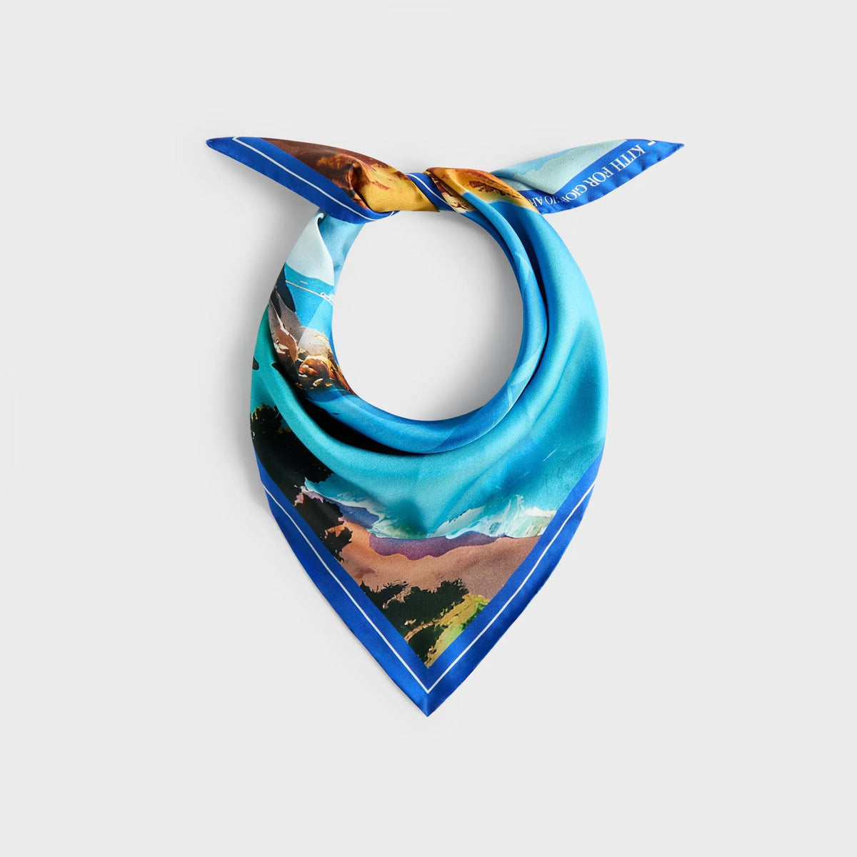 OS